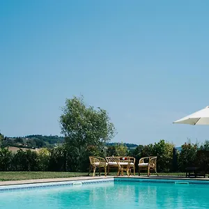 Gatto Bianco Tizzauli , Montespertoli Italien